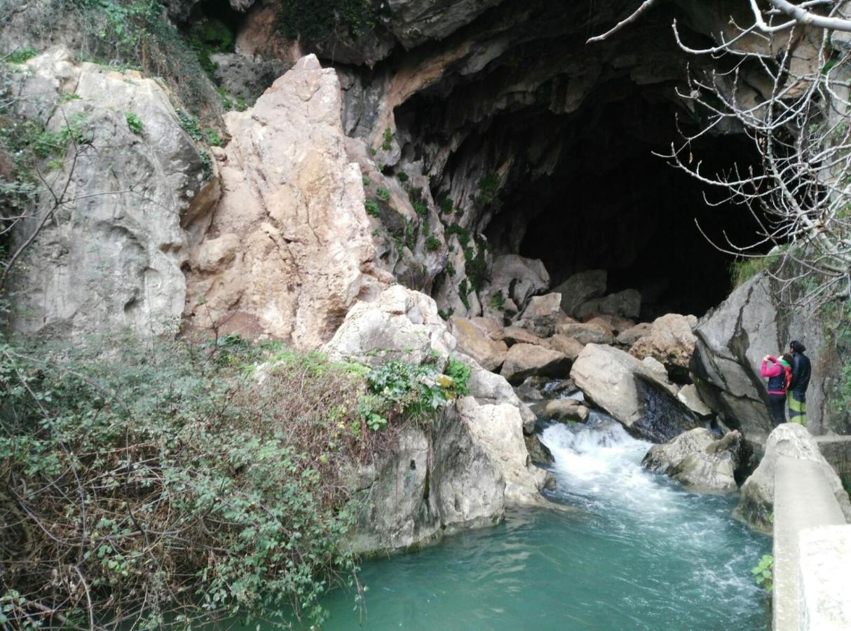 Casa Rural Las Rosas De Benaojan Ngoại thất bức ảnh
